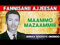 Seenaa Koloneel Maammoo Mazaamir Gootota Oromoo Seenaa Koloneel Maammoo Mazaamir Gootota Oromoo