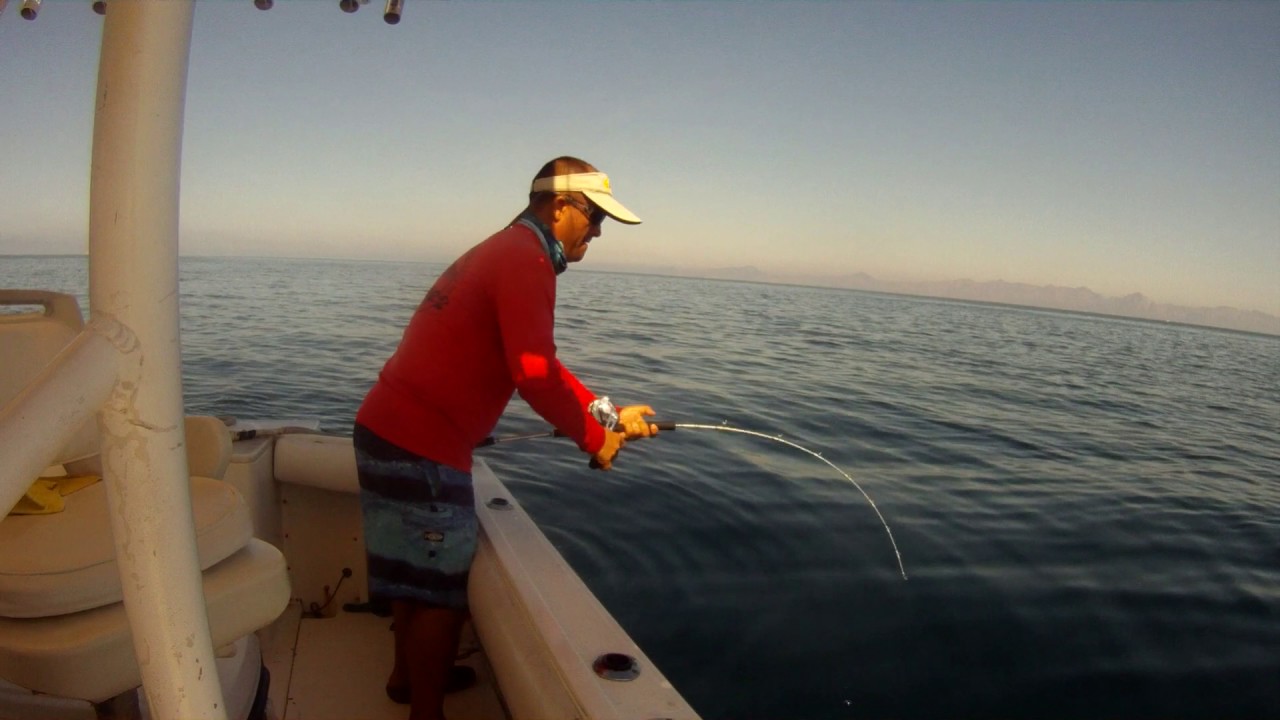 dropping jigs with Maxel reels