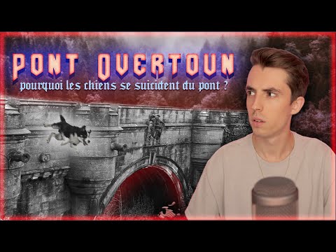 Vidéo: Phénomène Mystérieux: Chasse Au Suicide, 600 Chiens Ont Sauté Du Pont - Vue Alternative