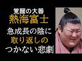 熱海富士が世界一わかる動画 成長停滞の原因とされるあの噂の真相は?