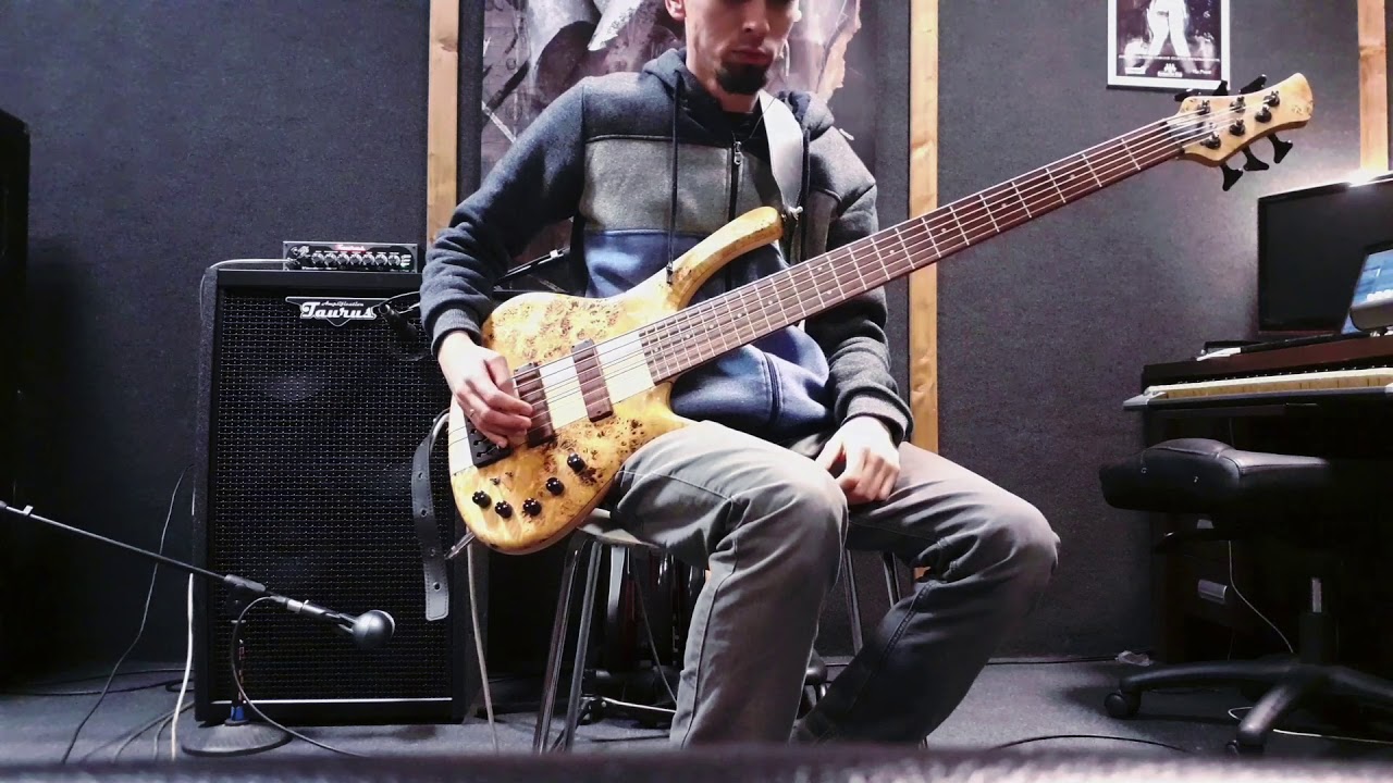 Taurus Vandall 500 and GMR bassforce