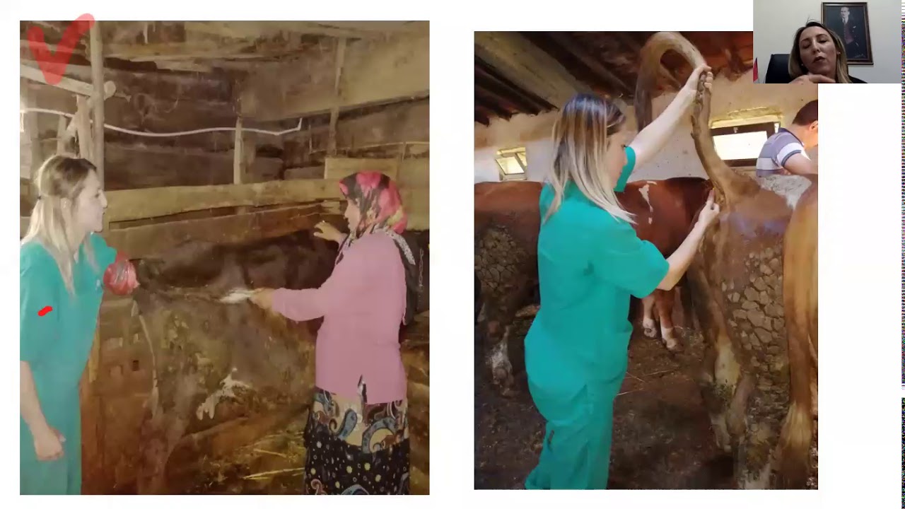 ''GELECEKTEKİ SEN ''  DR.GÜL BANU ÇİÇEK BİDECİ