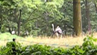 MVI_8416.AVI