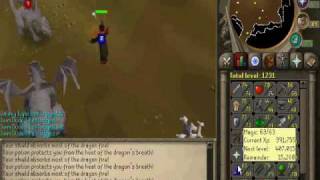 Metal Dragons Guide - Maging.
