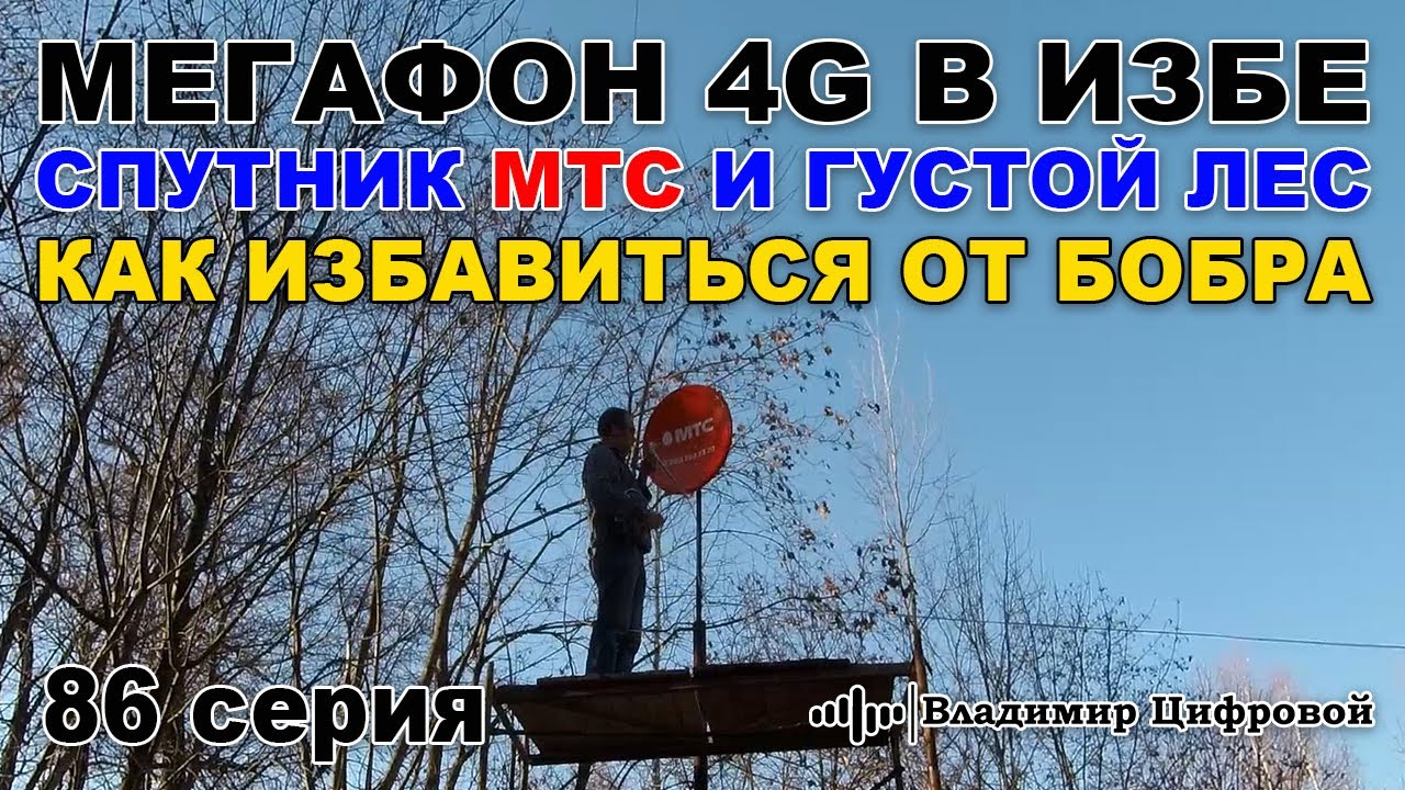 Мегафон 4G в избе, спутник МТС и густой лес, как избавиться от бобра ...