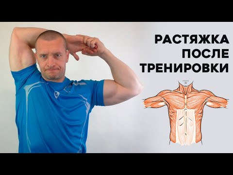 Нужно ли делать Растяжку после тренировки