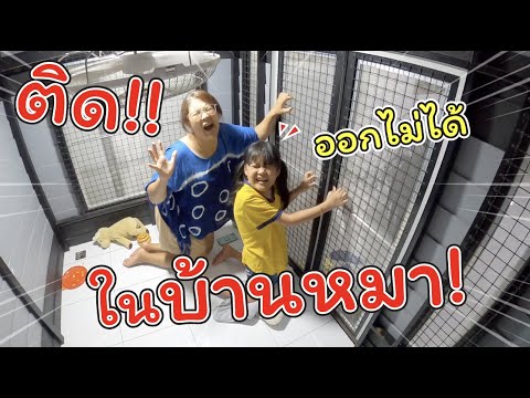 ติดอยู่ในบ้านหมา!! ออกไม่ได้ ทำยังไงดี! | ละครสั้นหรรษา | แม่ปูเป้ เฌอแตม Tam Story