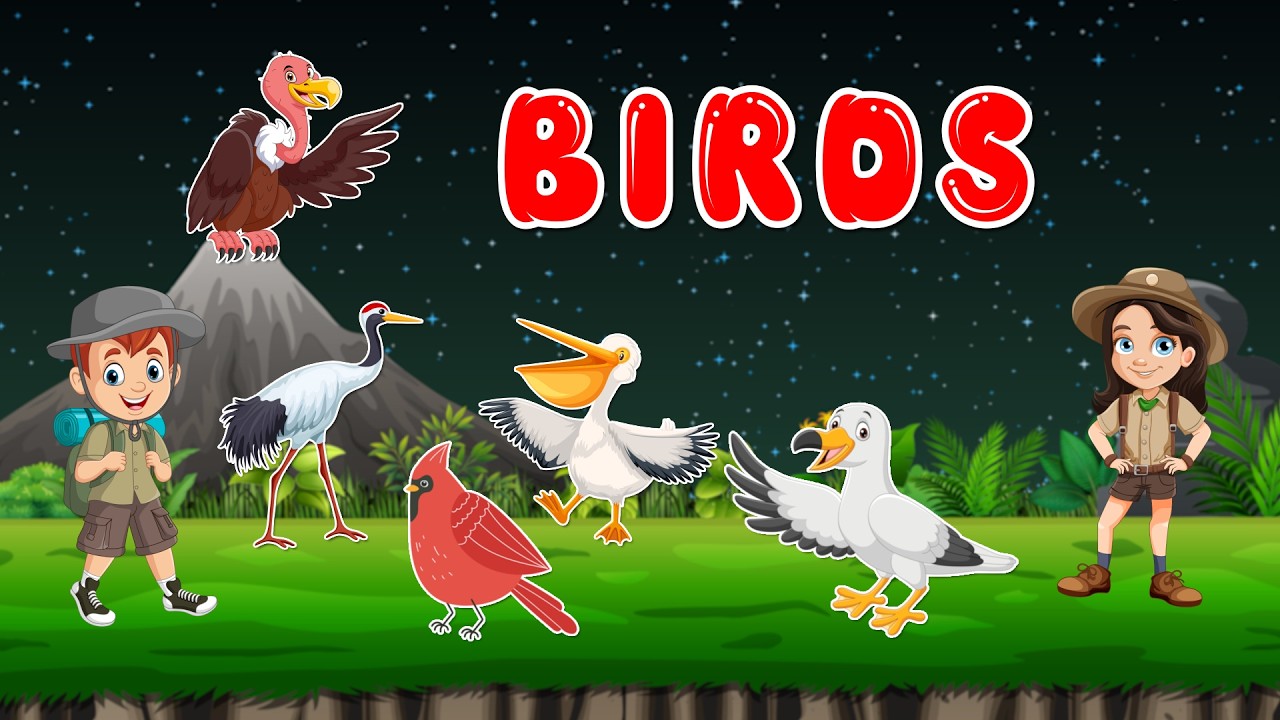 Amazing Birds of the World! | Fun Bird Discovery for Preschoolers