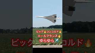 コンコルド　ラジコン　飛行機　シュミレーター　リアルフライト　2025年8月19日