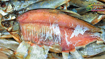 Сухой посол рыбы, такую рыбу не нужно вымачивать, рыба получится малосольной и очень вкусной.