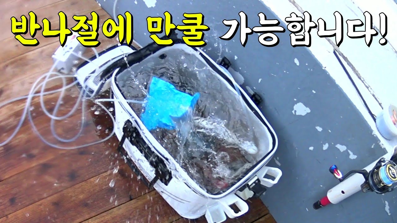 피곤하지 않게 오후에 즐기는 최고급 횟감을 위한 낚시 (f.t 꽝.없.음.)