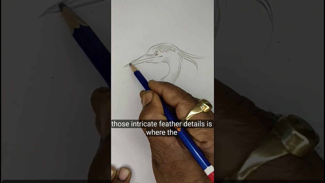 BLANK PAGE TO REALISTIC BIRD DRAWING 🦅🎨 