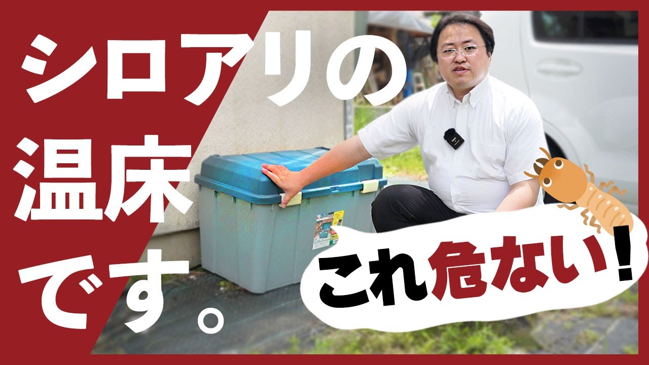 【プロ直伝】シロアリを寄せ付けない建物周り環境改善のポイント7選【自分でできるシロアリ予防対策】