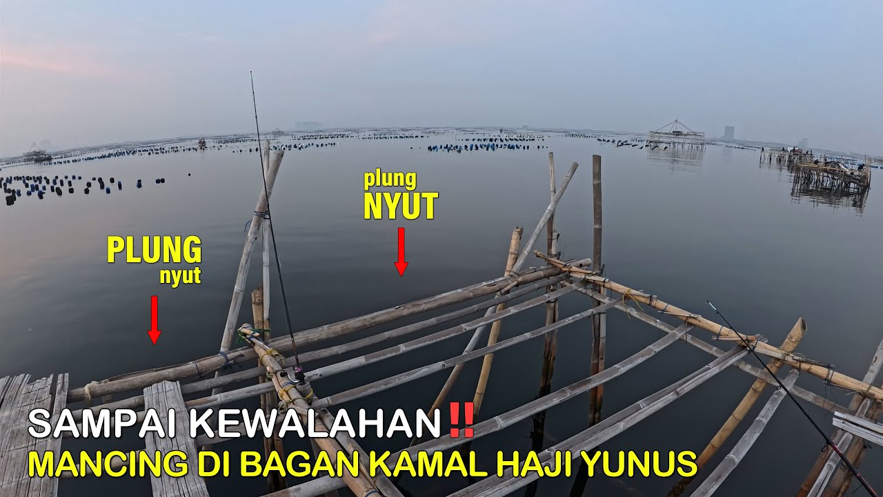 Sampai Kewalahan 🥵 Mancing Ikan Di Bagan Haji Yunus Kamal Muara Bang Samsul no 1 || Mancing Gaes