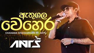 Athugala Wehera Wadina     Chamara Weerasinghe  Ants  Cover