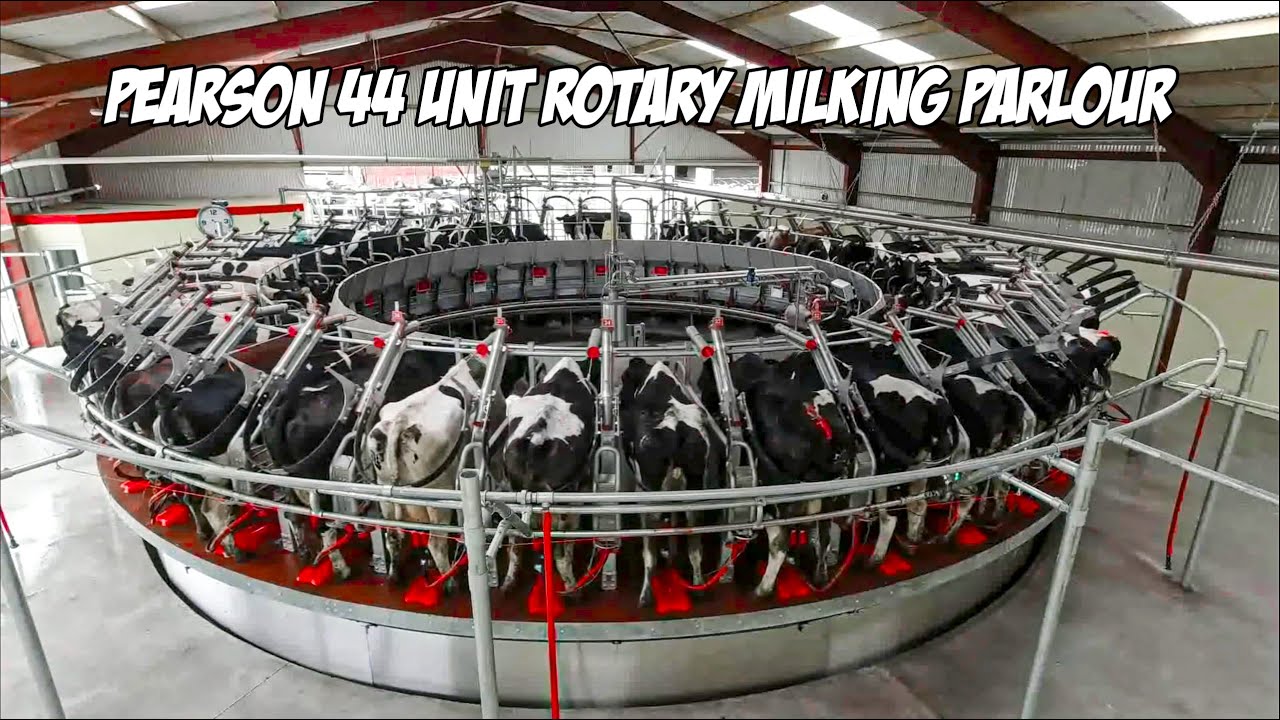 Pearson 44 Unit Rotary Milking Parlour in Co.Tipperary Pearson Milking Technology YouTube