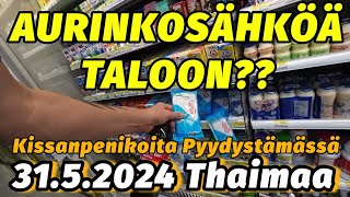 Aurinkosähkölamppujako Asuntoon - Kissanpoikien Metsästystä 31.5.2024 Thaimaa