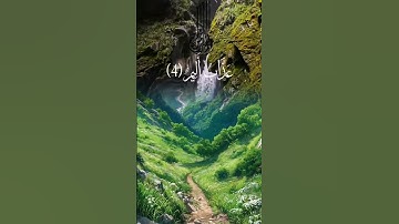 صوت القارئ محمد الفقيه #اكسبلور #المصحف #دويتو #راحة_نفسية #حالات_واتس #تيك_توك #لايك