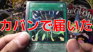 【遊戯王】かばんの中から大量のオリパが！【開封】