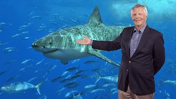 James Estes (UC Santa Cruz) 3: Apex Predators Around the World