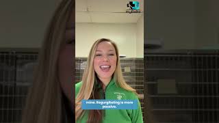 Distinction between Vomit and Regurgitation