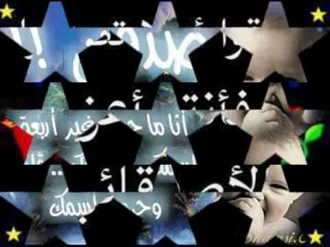 مهرجان مولد الغزالي حماده و وائل