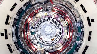 This Nuclear Fusion Reactor Could Change the World