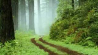 The Fog Watch screenshot 5