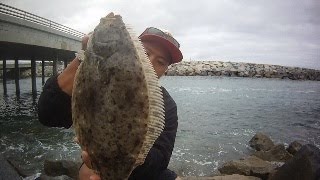 Little instructional video on how to catch the elusive halibut in
southern california. rate comment subscribe !