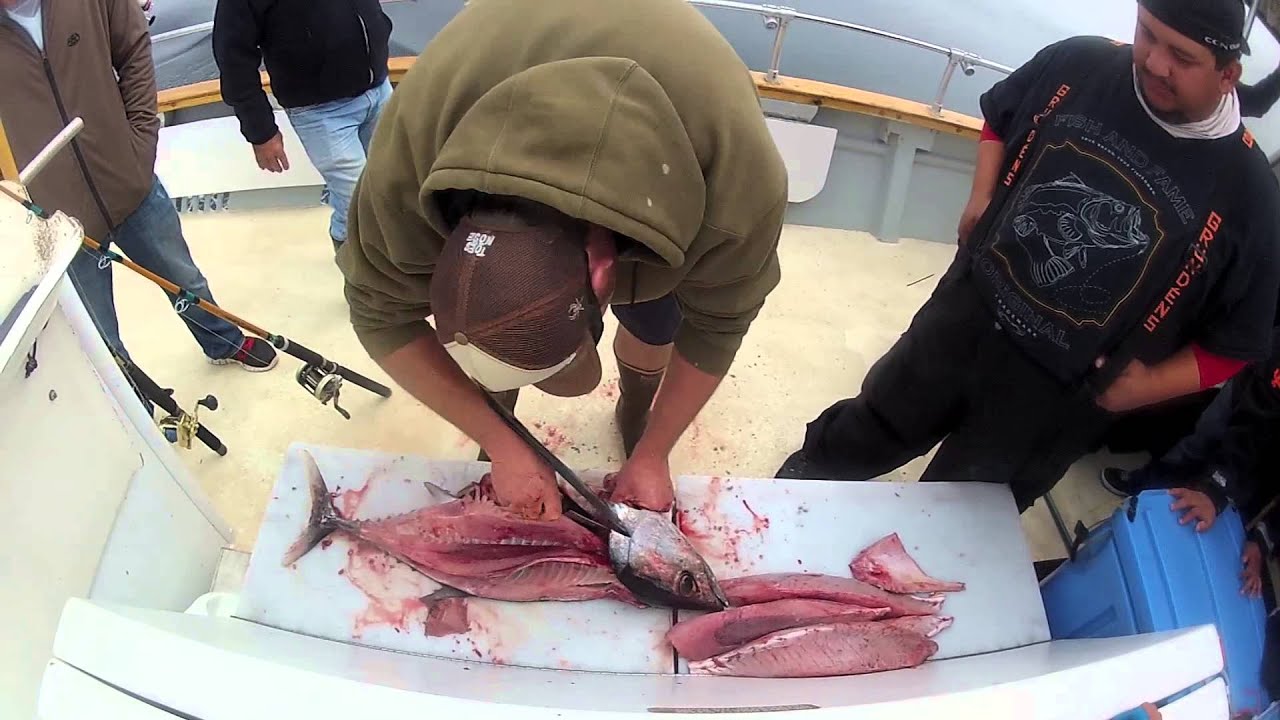 Albacore Tuna Run 2013 Go-Pro Hero 3