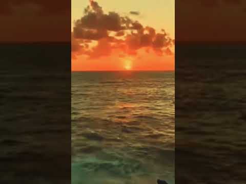 اغنية معايا بهاء سلطان من فيلم ولنا فى الخيال حب 3   بحر  اغاني اكسبلور