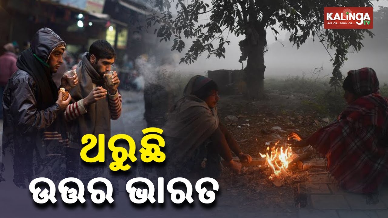 Cold Wave Grips North India, Rajasthan's Churu Records 0° Celsius || KalingaTV