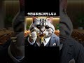 何もしないサラリーマン猫　AI猫の作り方をプレゼント中🎁プロフのリンクをチェックしてね　#AI #AI猫 #猫 #猫動画　#AICat