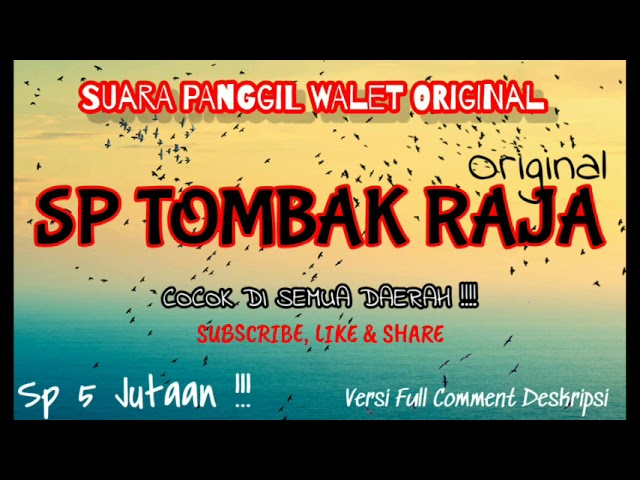 VIRAL !!! SP TOMBAK RAJA ORIGINAL || SUARA WALET PALING RESPON class=