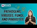 Viruses Fungi And Parasites: Health Risks And Transmission Pathways