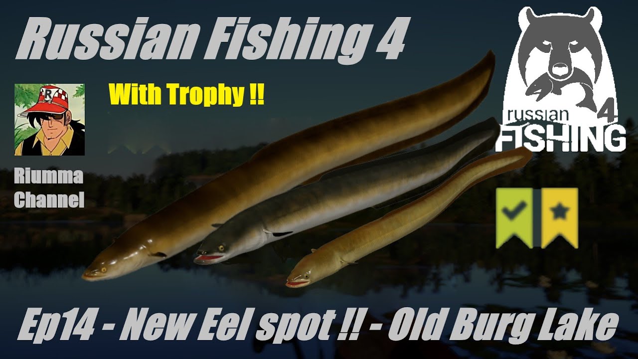 Russian Fishing 4 Ep14 New Eel spot !! Old Burg Lake Trophy catch!! YouTube