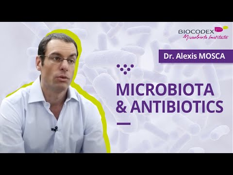 Vidéo: Antibiotiques, Microbiote Intestinal Et Maladie D'Alzheimer