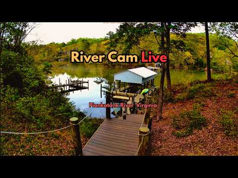 Piankatank River Cam live cam preview