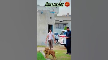 Jat ❤️ Kaum #shorts #jaat #jatt #jutt