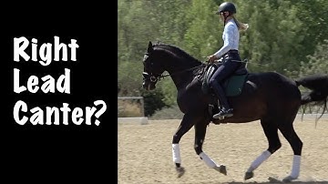 How do you pick up the correct canter lead?
