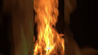 🤌🏻🤌🏻 Resimi