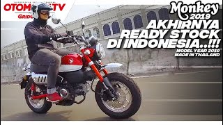 Begini Rasanya Naik Honda Monkey 125 Versi 2019, Tonton Videonya ...