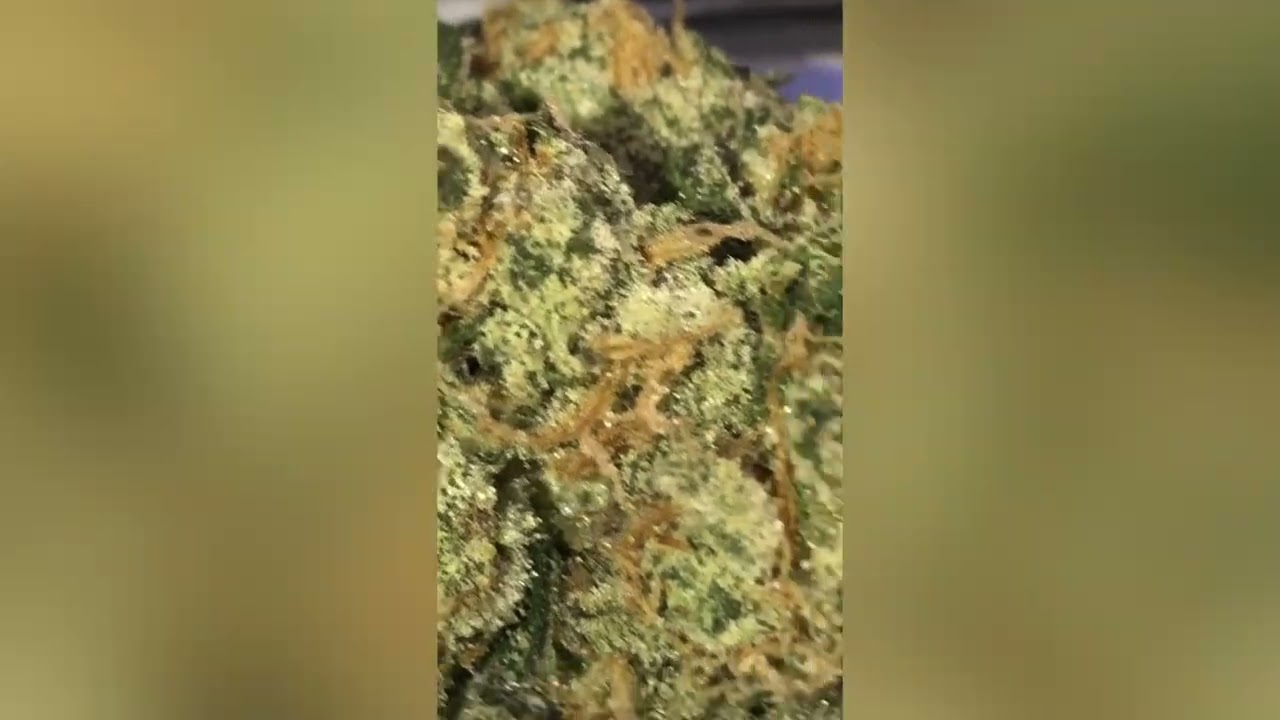 Animal Mint Cake Strain Review (Smk Brk 420)