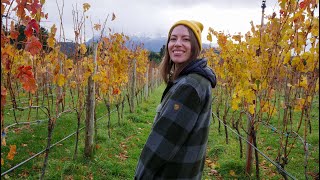 Travel vlog - The Most Underrated Town In PATAGONIA, Argentina! 😊🌲🍕 Trevelin Travel Guide: Top Things To Do! 🇦🇷🍇
