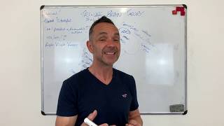 The Triune Brain