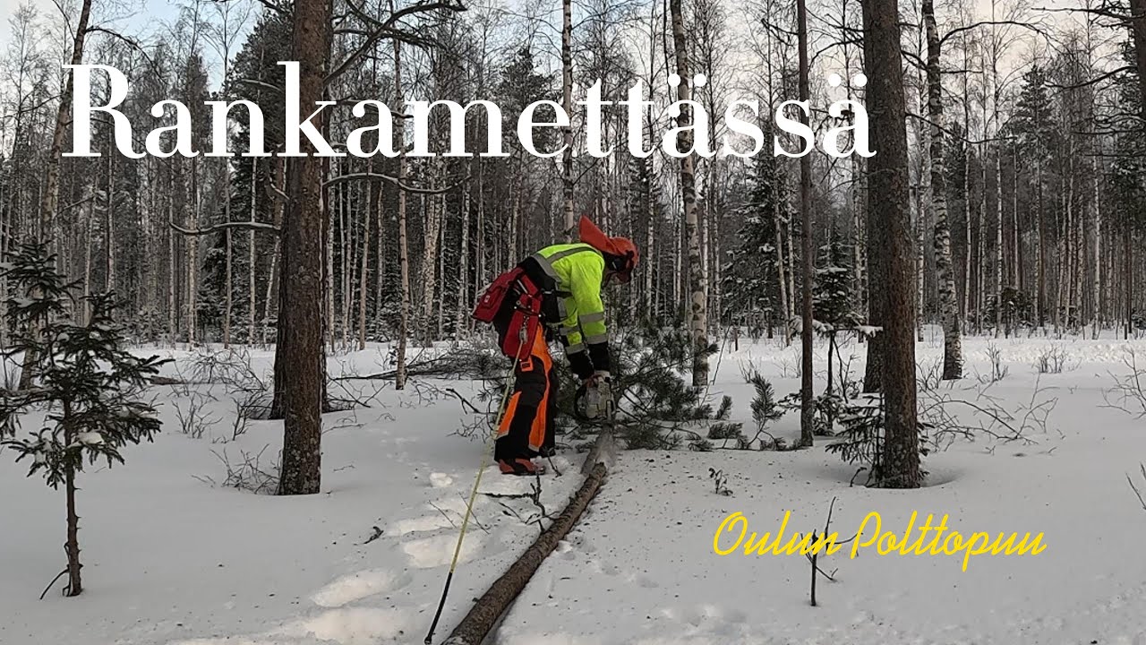 Rankametsässä, 20 pakkasta ja näpit jäässä sormikkaissa