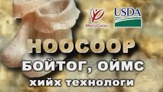 НООСООР БОЙТОГ, ОЙМС ХИЙХ ТЕХНОЛОГИ