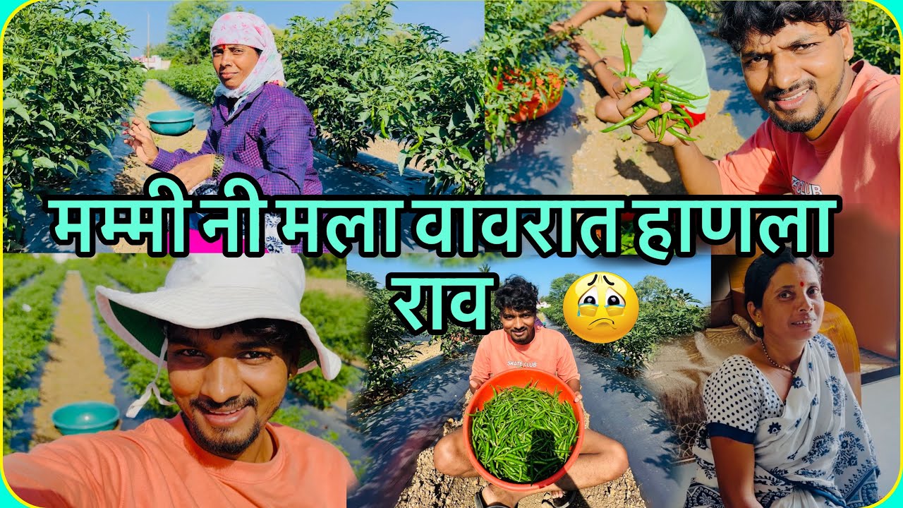 मम्मी नी मला वावरात हाणला लय अवघड आहे राव 😨😅 बगा नक्की काय झालंय वावरात  😂🤣 #viralvideo #comedy