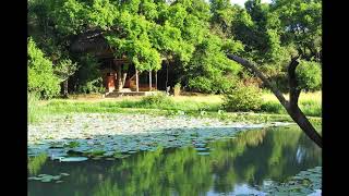 Jivo to Zindagi vat Thi WhatsApp status