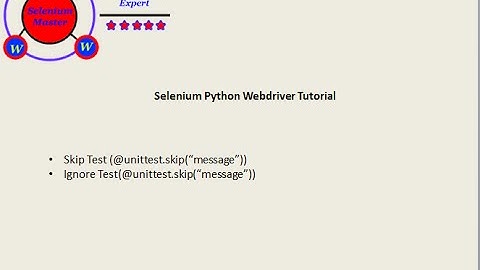 Selenium Python Webdriver Tutorial - Skip Tests